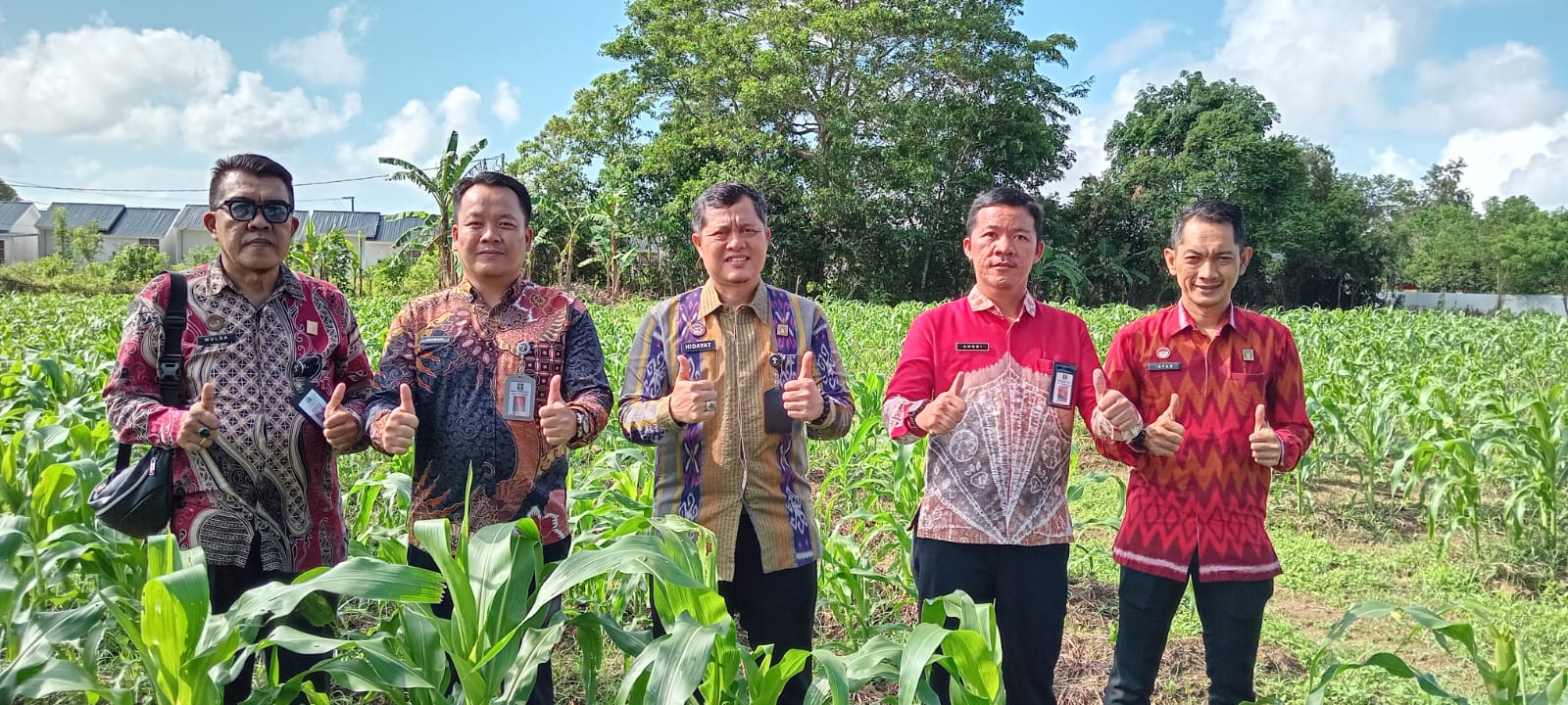 Upaya Dukung Ketahanan Pangan, Lapas Pangkalpinang Berkebun Jagung