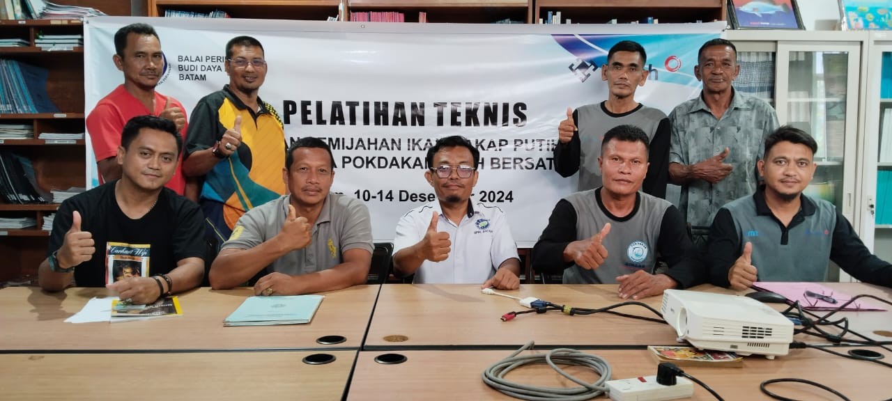 PT Timah Kolaborasi Dengan BPBL Gelar Pelatihan Pemeliharaan dan Pemijahan Ikan Kakap