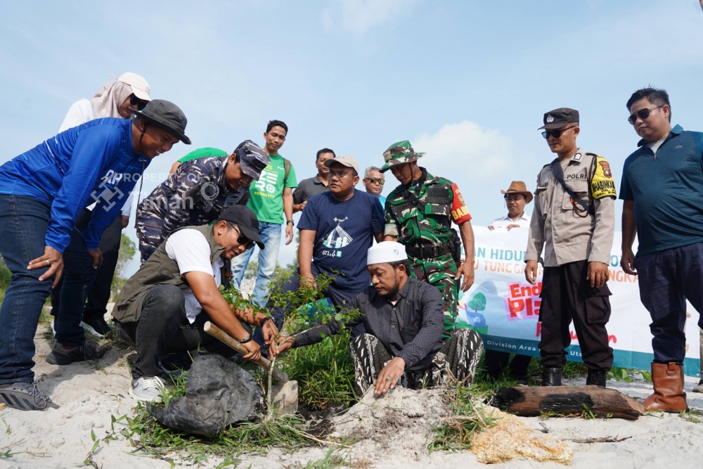 Tanam Pohon Peneduh di Kawasan Wisata Batu Tunggal, Langkah Nyata PT Timah Dalam Pelestarian Lingkungan dan Pariwisata Berkelanjutan
